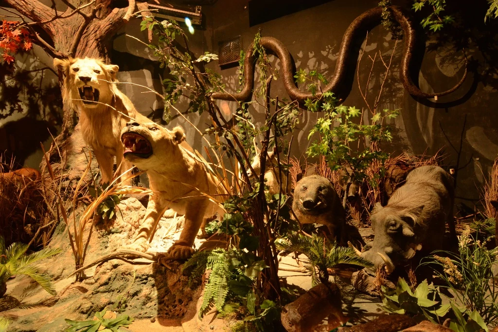 Museum dan Galeri